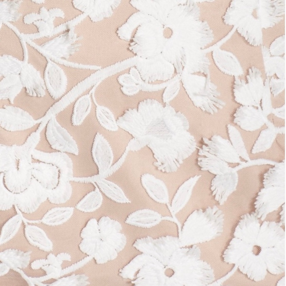 Aidan Maddox White Nude Sleeveless Chiffon Lace Dress Size 0 Retail $220 - Picture 4 of 12